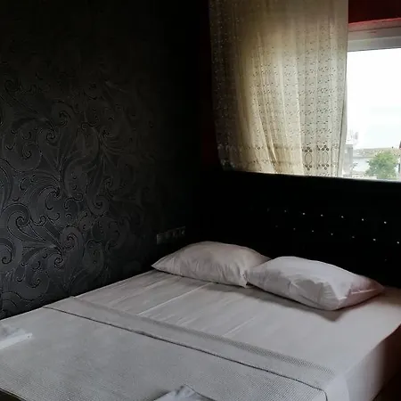 Kalepark 트라존